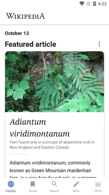 Wikipedia android App screenshot 1